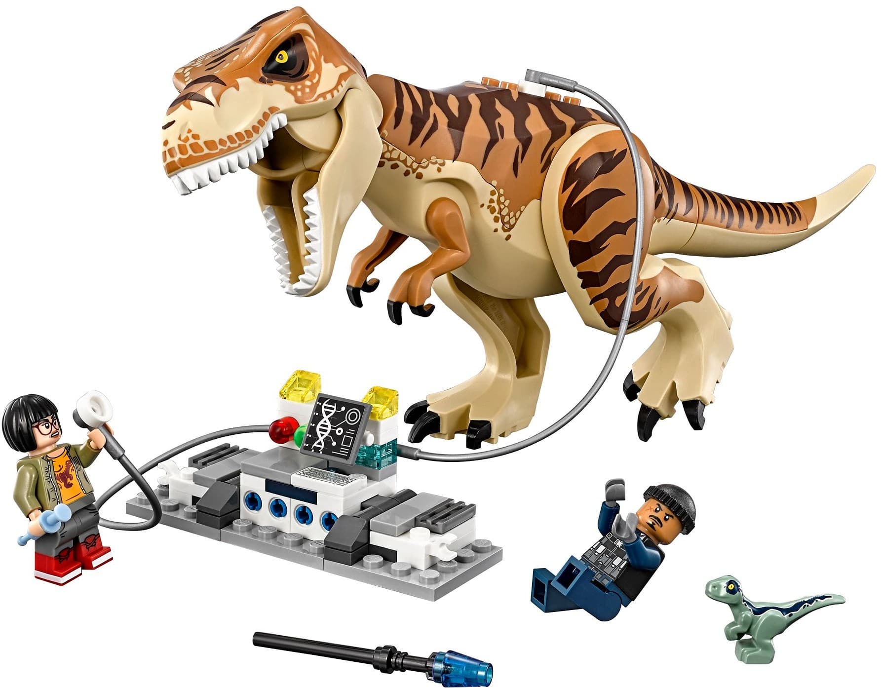 T-Rex Transport