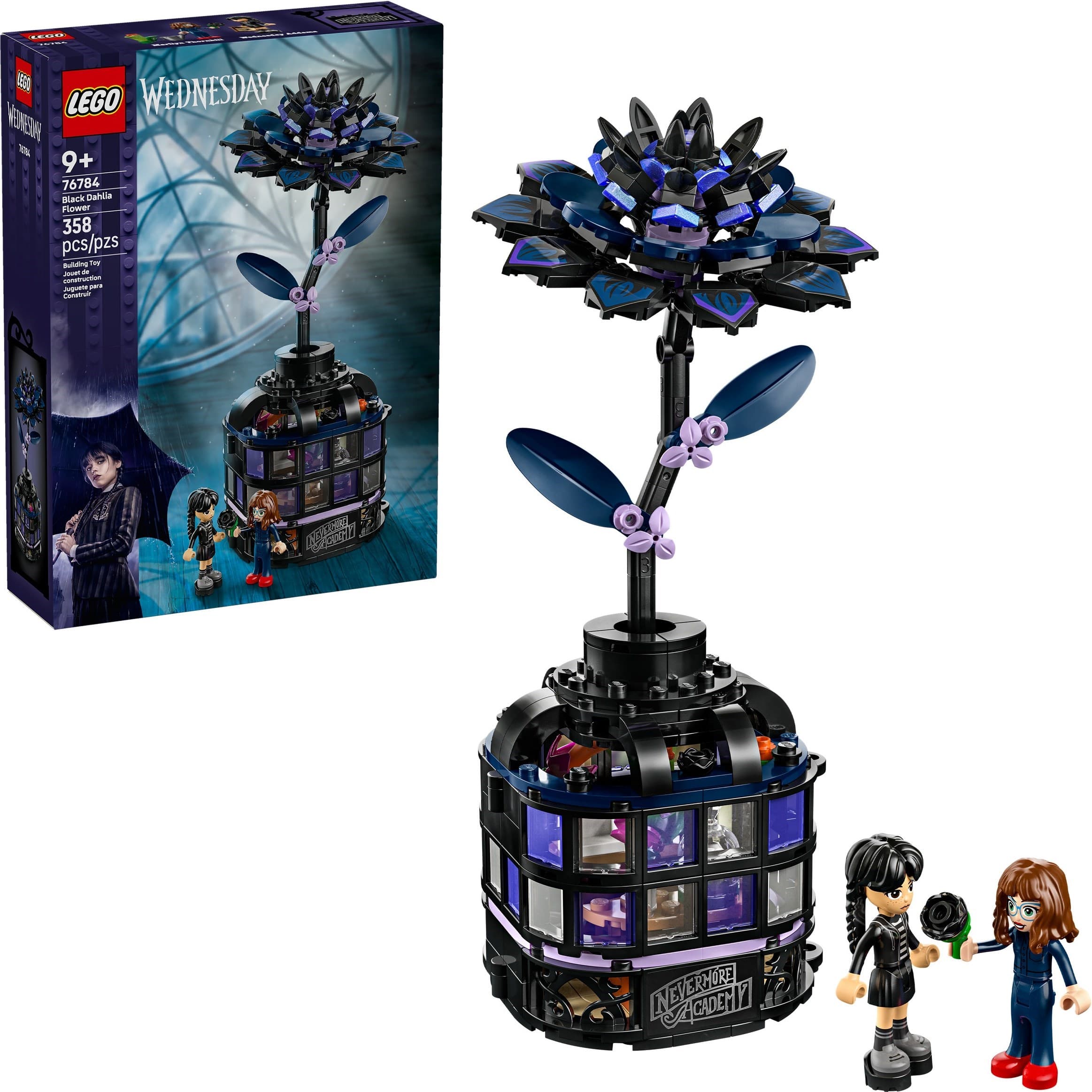 Black Dahlia Flower