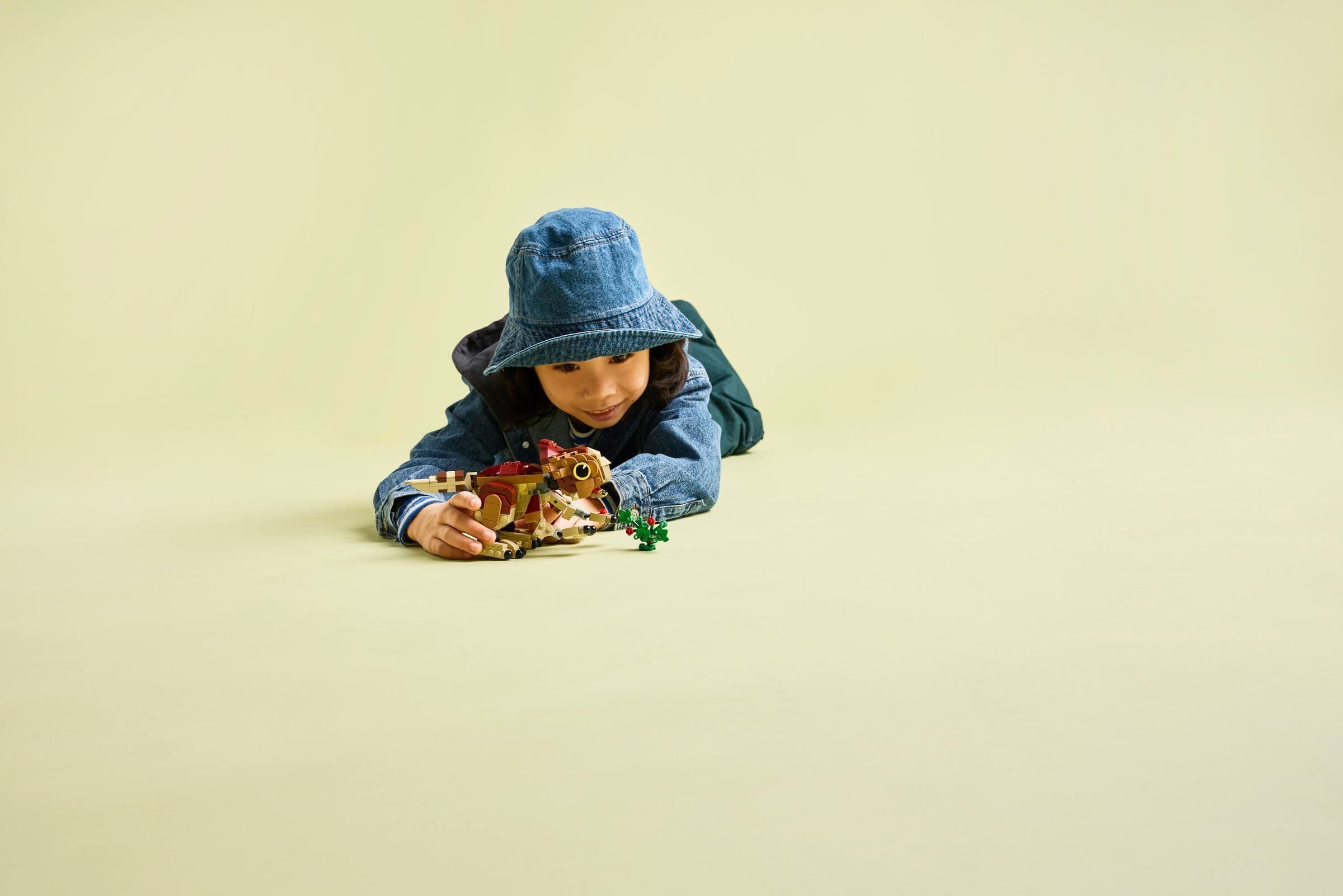 Baby Dinosaur Dolores: Aquilops