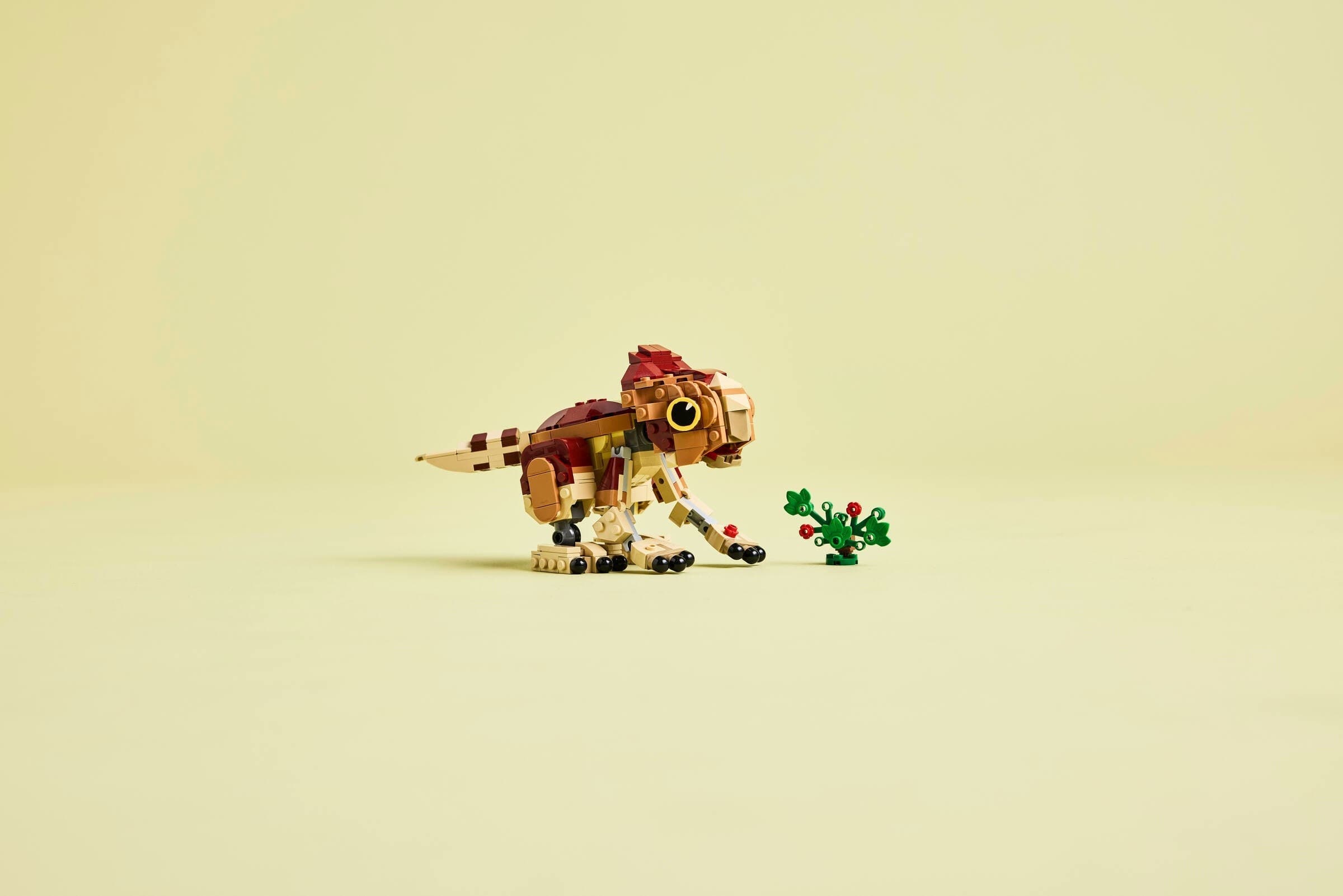 Baby Dinosaur Dolores: Aquilops