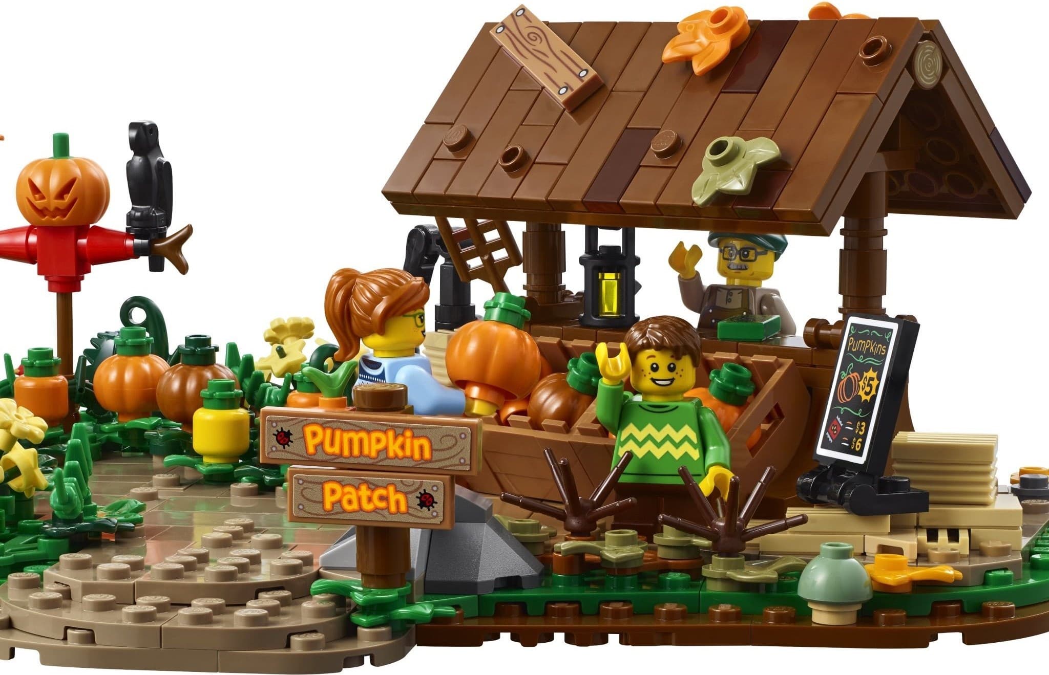 Pumpkin Patch